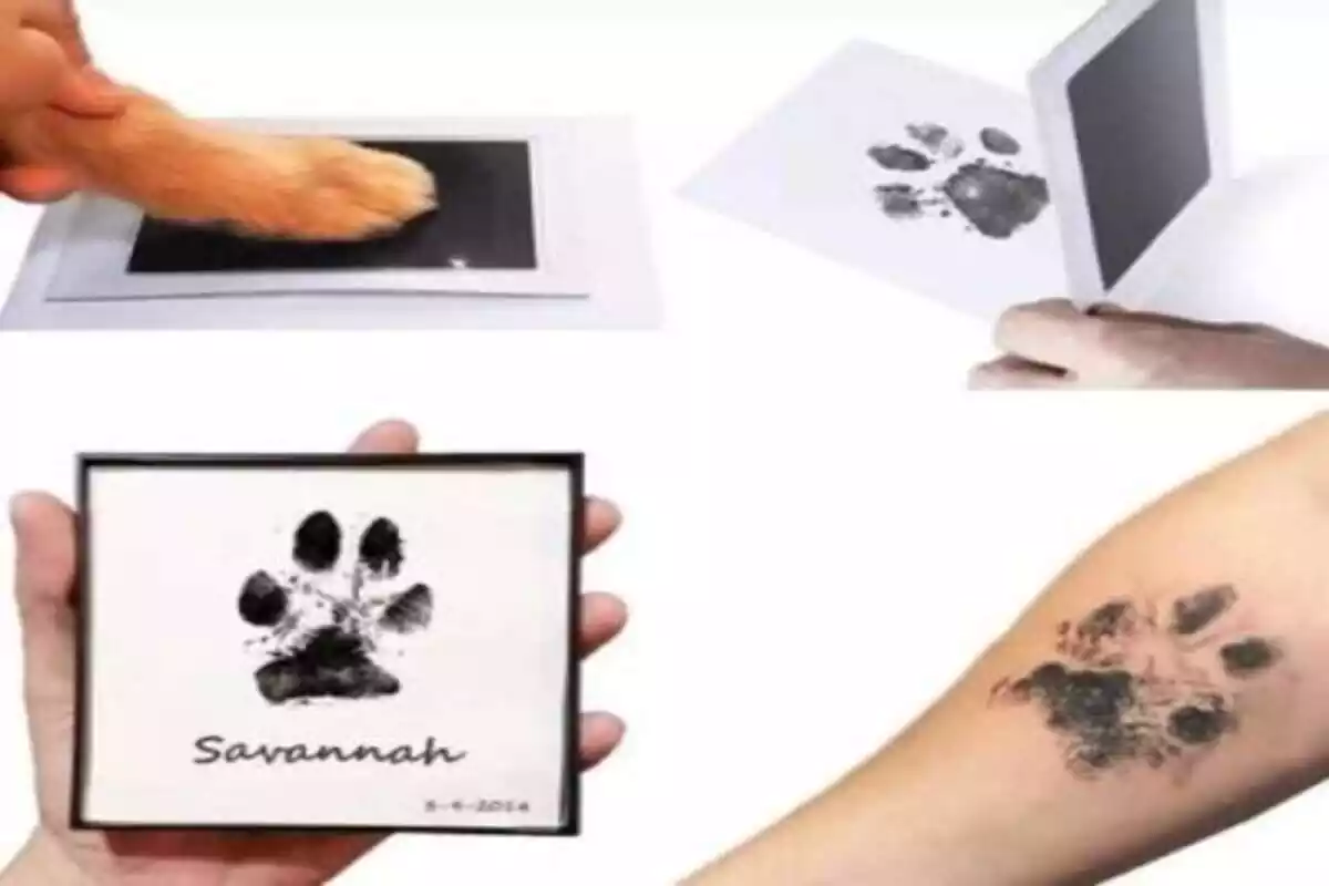 Imagen de pata de gato estampando su huella para plasmar en fotos y tatuajes Imagen de pata de gato estampando su huella para plasmar en fotos y tatuajes