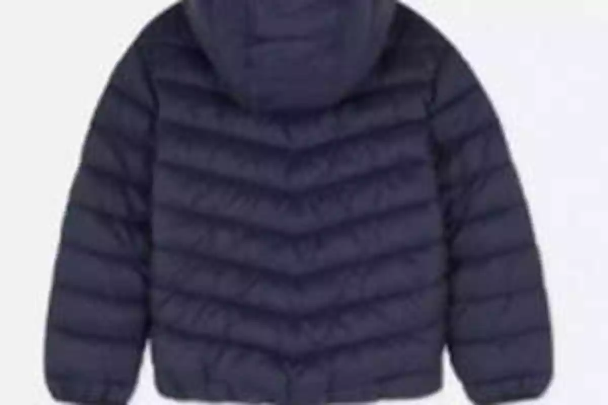 Chaqueta Primark niños Chaqueta Primark niños
