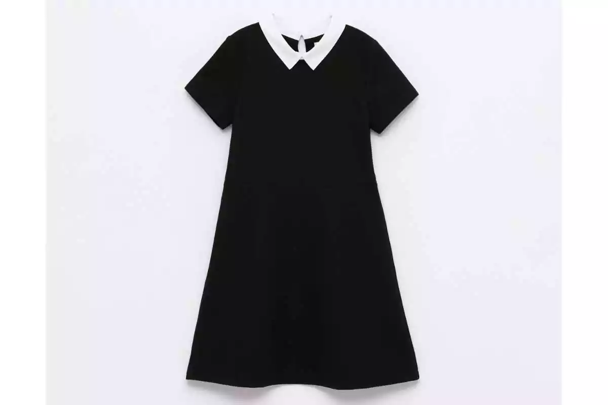 Vestido de color negro con el cuello camisero blanco Vestido de color negro con el cuello camisero blanco