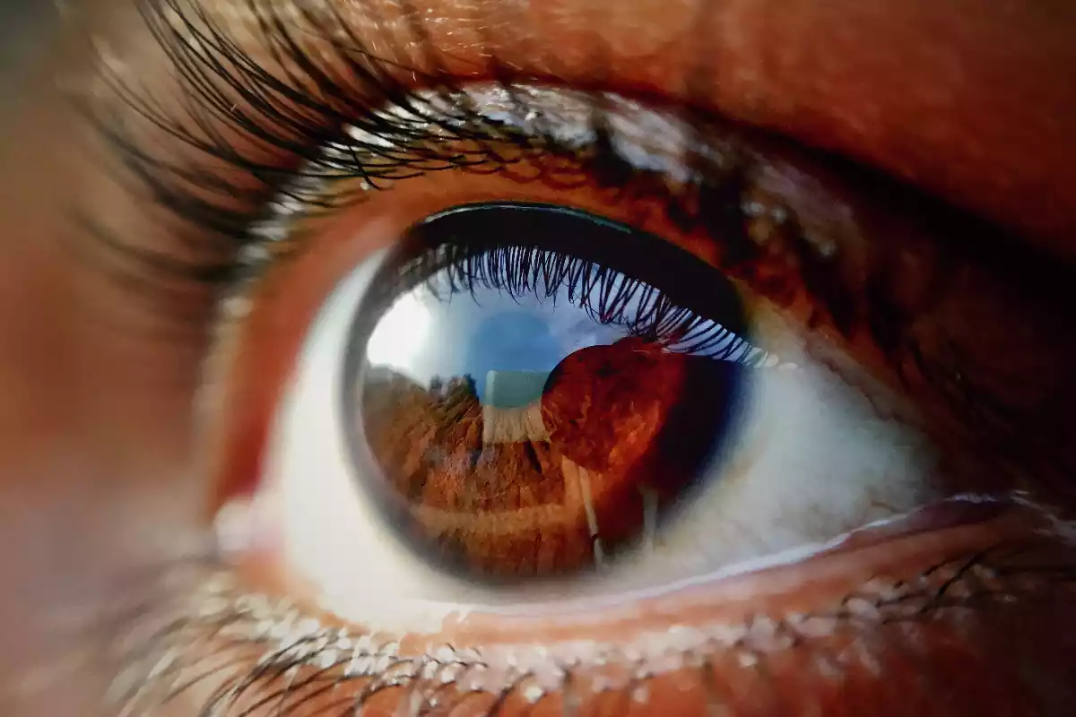 En la imagen aparece en primer plano un ojo, con un iris marrón claro del color de la tierra