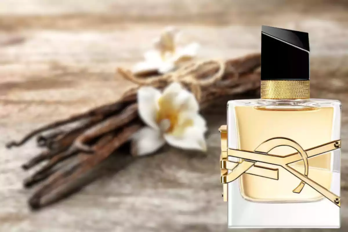 Un perfume de Yves Laurent Un perfume de Yves Laurent