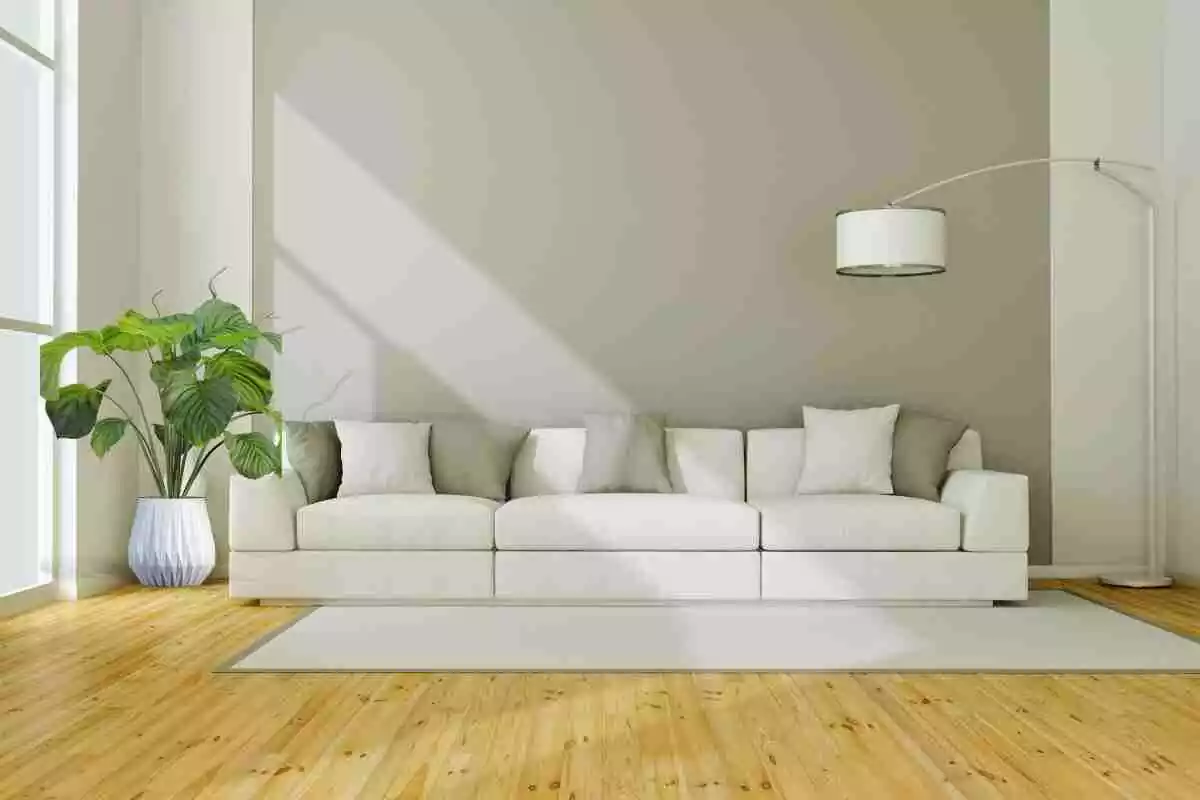 salón de color gris con una planta en el lado izquierdo y una lámpara en el derecho
