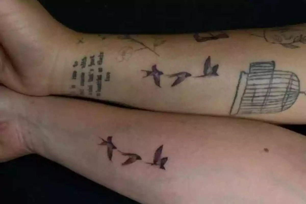Foto detalle de dos brazos que muestran el mismo tatuaje con unos pájaros Foto detalle de dos brazos que muestran el mismo tatuaje con unos pájaros